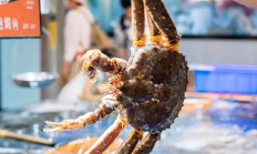 中等发达国家水平什么样，收入、福利、生活质量全面颠覆你的认知