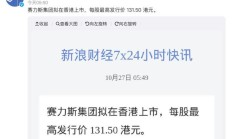 赛力斯集团拟在香港上市，每股最高131.50港元