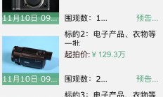 拱北海关将于 11 月 10 日拍卖上千件电子产品