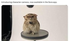 OpenAI为Sora更新角色出镜功能，可添加宠物等进AI视频