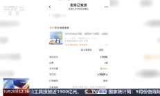 假冒品牌电视机团伙被端:开设 83 家网店涉案 3500 余万元