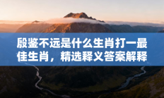 殷鉴不远是什么生肖打一最佳生肖，精选释义答案解释!