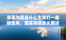 落草为寇是什么生肖打一最佳生肖，落实词语含义阐述答解