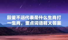 殷鉴不远代表是什么生肖打一生肖，重点词语释义答案深度解读