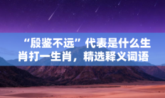 “殷鉴不远”代表是什么生肖打一生肖，精选释义词语答案解释