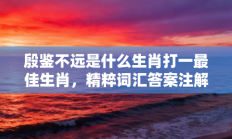 殷鉴不远是什么生肖打一最佳生肖，精粹词汇答案注解与探析