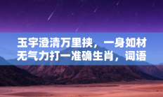 玉宇澄清万里挟，一身如材无气力打一准确生肖，词语打一生肖释义解释落实