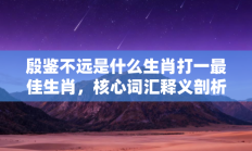 殷鉴不远是什么生肖打一最佳生肖，核心词汇释义剖析与答案阐释