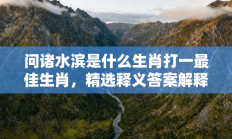 问诸水滨是什么生肖打一最佳生肖，精选释义答案解释!