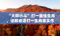 “大秤小斗”打一最佳生肖，诠释成语打一生肖落实作答!