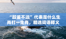 “殷鉴不远”代表是什么生肖打一生肖，精选词语释义答案深度剖析