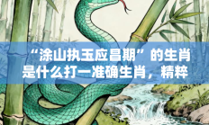 “涂山执玉应昌期”的生肖是什么打一准确生肖，精粹词汇答案注解与探析