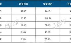 2025Q3智能穿戴销量统计：华为霸榜成人手表，小米垄断手环